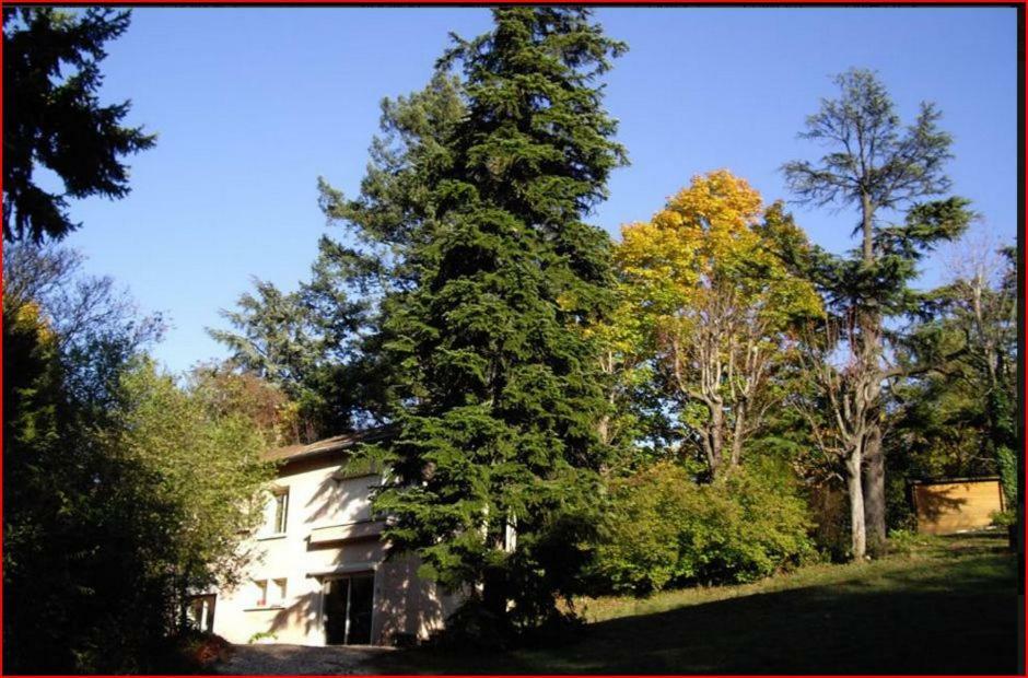 Rillieux-la-Pape Villa Castel Maison-Table D'Hotes & Jardin-Refuge De Biodiversite מראה חיצוני תמונה